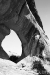 Partition Arch