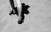 The Walk