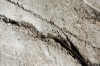 embedded