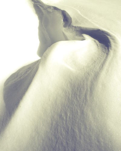 Windswept
